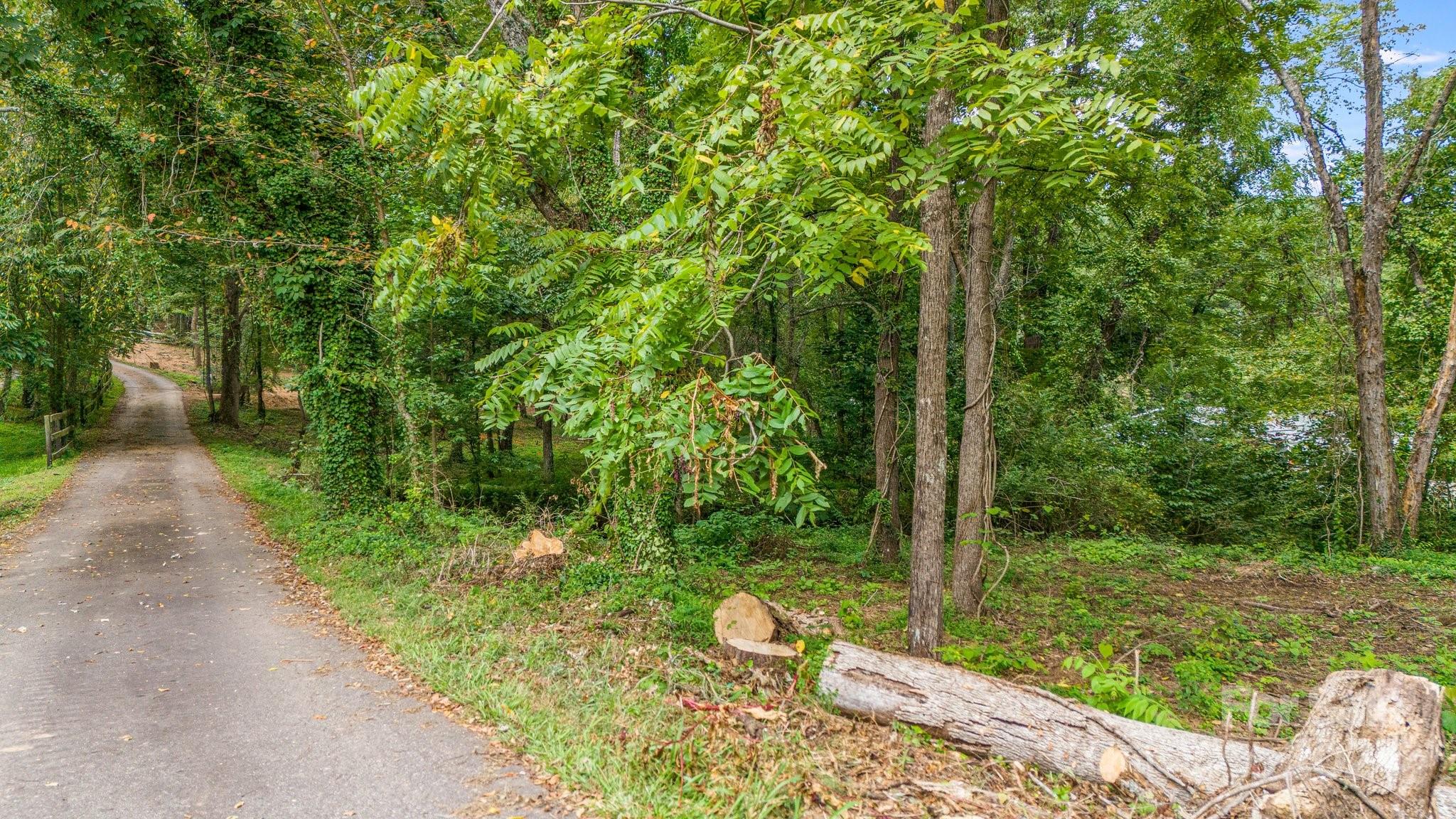 63 Rice Branch Road Asheville, NC 28804 - Photo 14 of 18 Gallery Image 14