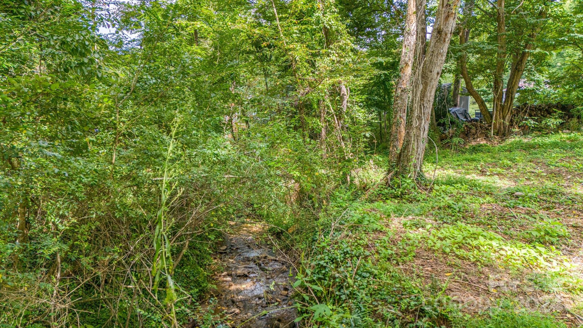 63 Rice Branch Road Asheville, NC 28804 - Photo 17 of 18 Gallery Image 17