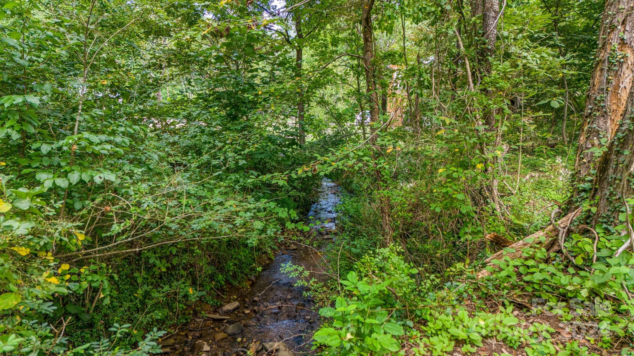 63 Rice Branch Road Asheville, NC 28804 - Photo 18 of 18 Gallery Image 18