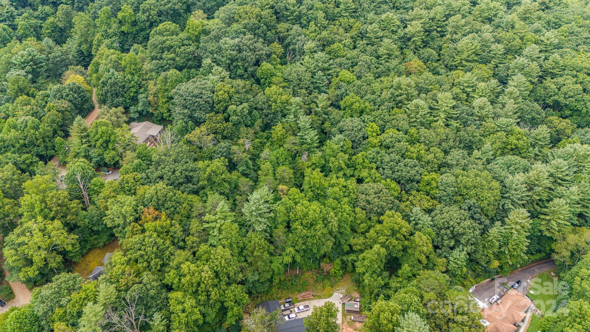 63 Rice Branch Road Asheville, NC 28804 - Photo 3 of 18 Gallery Image 3