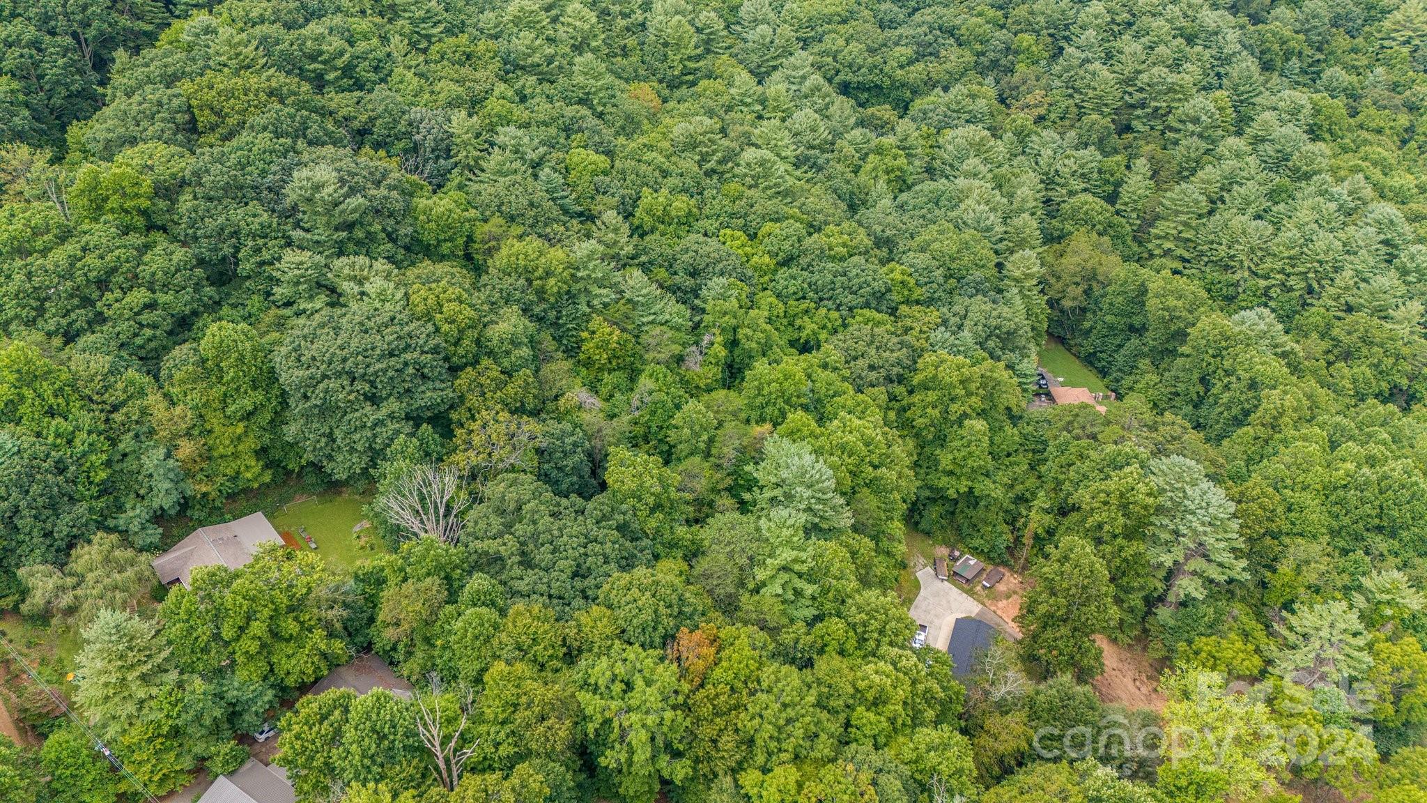 63 Rice Branch Road Asheville, NC 28804 - Photo 4 of 18 Gallery Image 4