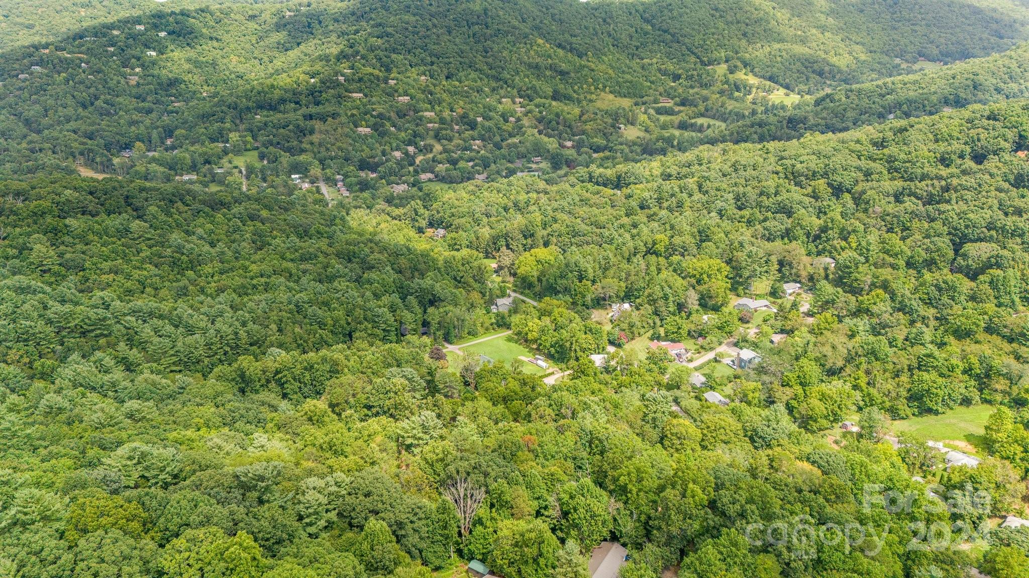 63 Rice Branch Road Asheville, NC 28804 - Photo 7 of 18 Gallery Image 7