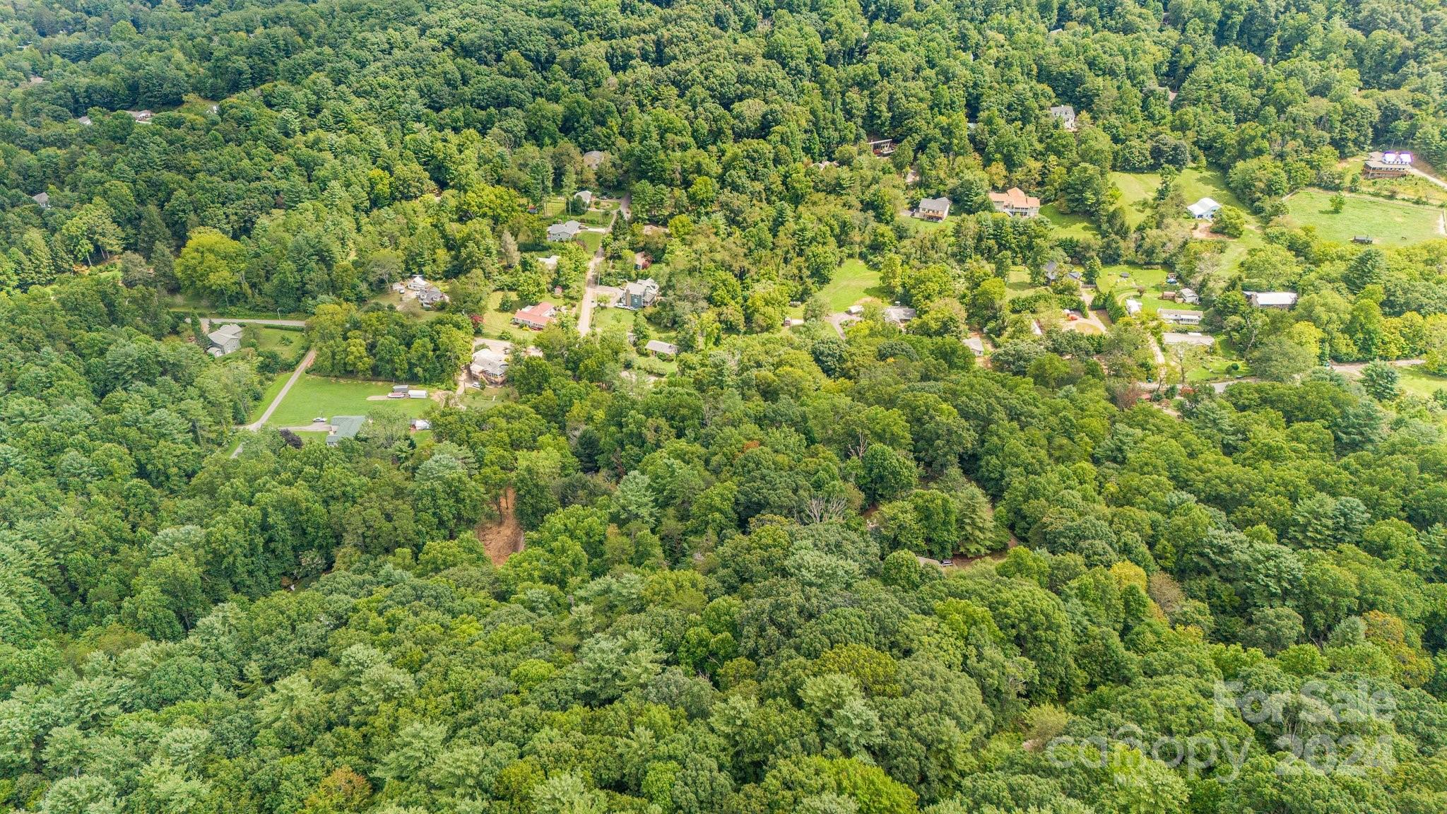 63 Rice Branch Road Asheville, NC 28804 - Photo 8 of 18 Gallery Image 8