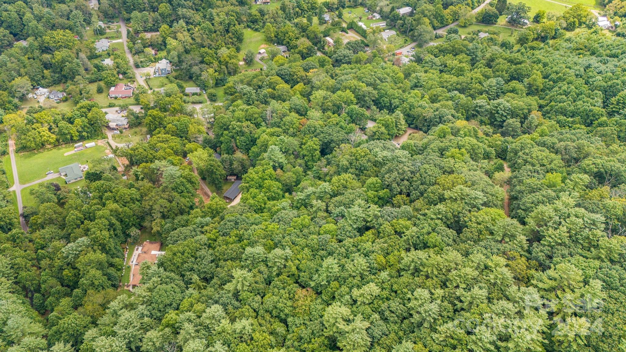63 Rice Branch Road Asheville, NC 28804 - Photo 10 of 18 Gallery Image 10