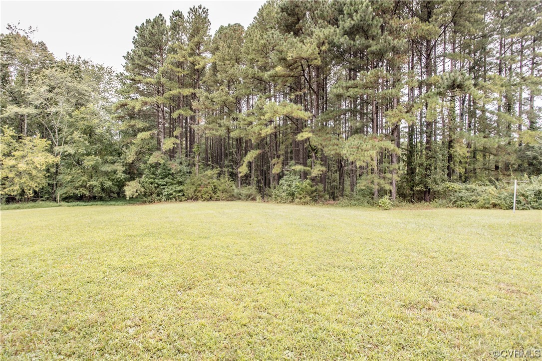 2374 Sandy Hook Road Goochland, VA 23063 - Photo 8 of 42 Gallery Image 8