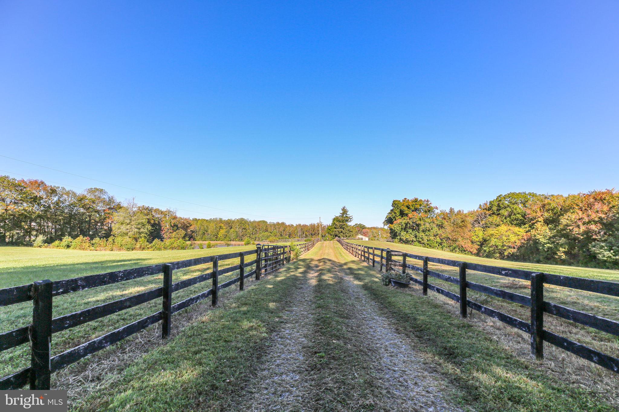 271 Poplar Road Fredericksburg, VA 22406 - Photo 72 of 82 Gallery Image 72