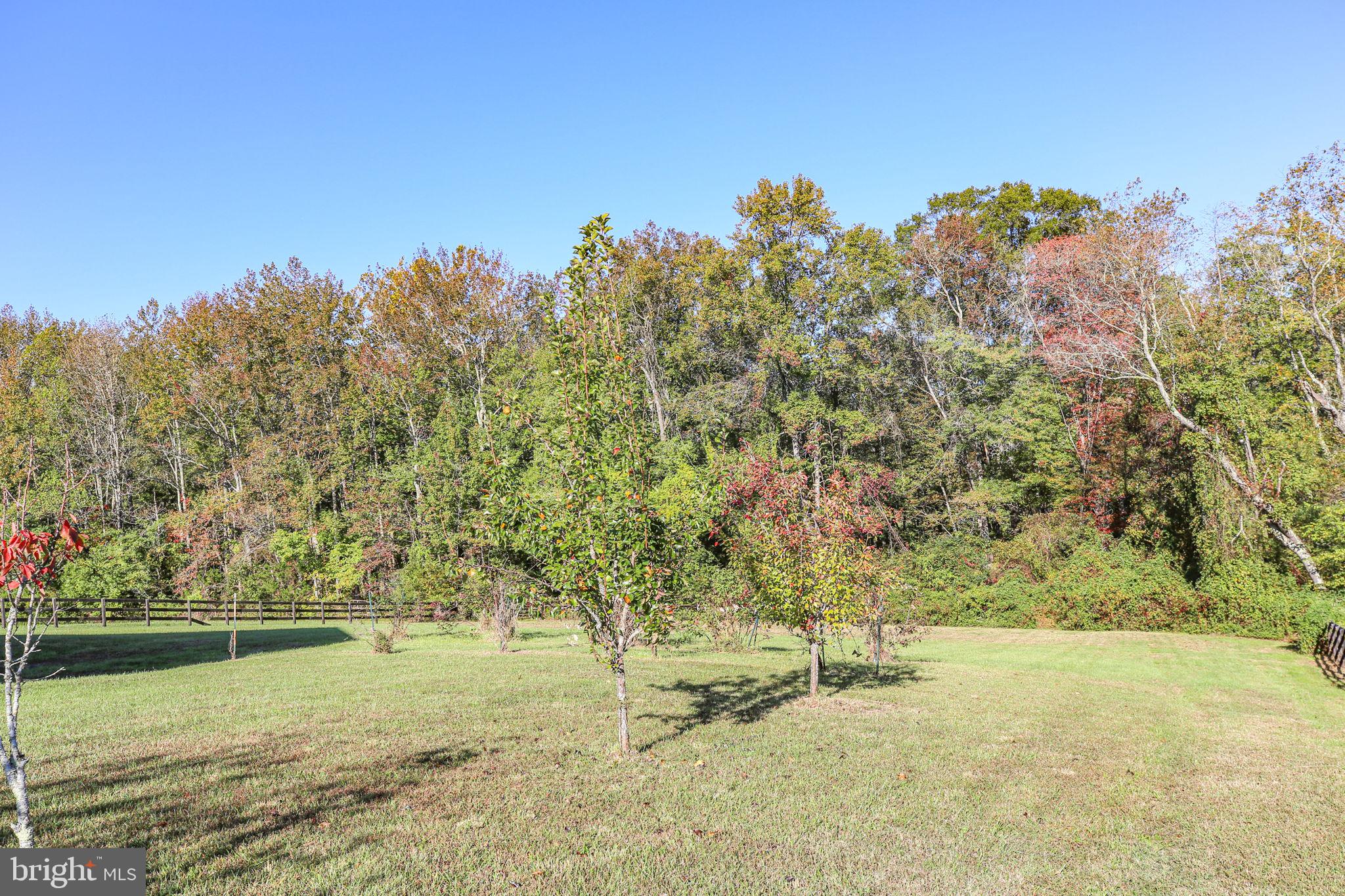 271 Poplar Road Fredericksburg, VA 22406 - Photo 73 of 82 Gallery Image 73