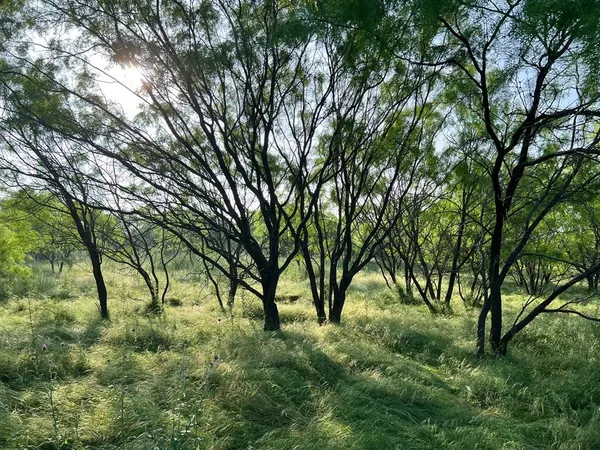 $259,900 | 0 South S Highway, Comanche, TX 76442