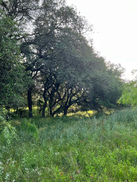 0 South S Highway Comanche, TX 76442 - Photo 13 of 14