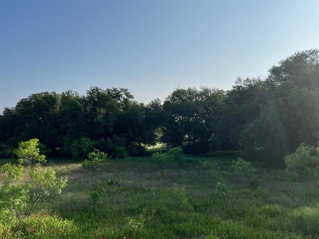 0 South S Highway Comanche, TX 76442 - Photo 3 of 14