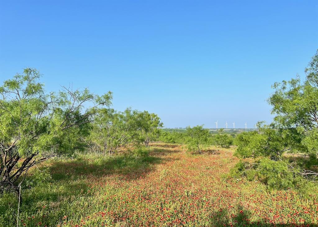 0 South S Highway Comanche, TX 76442 - Photo 4 of 14