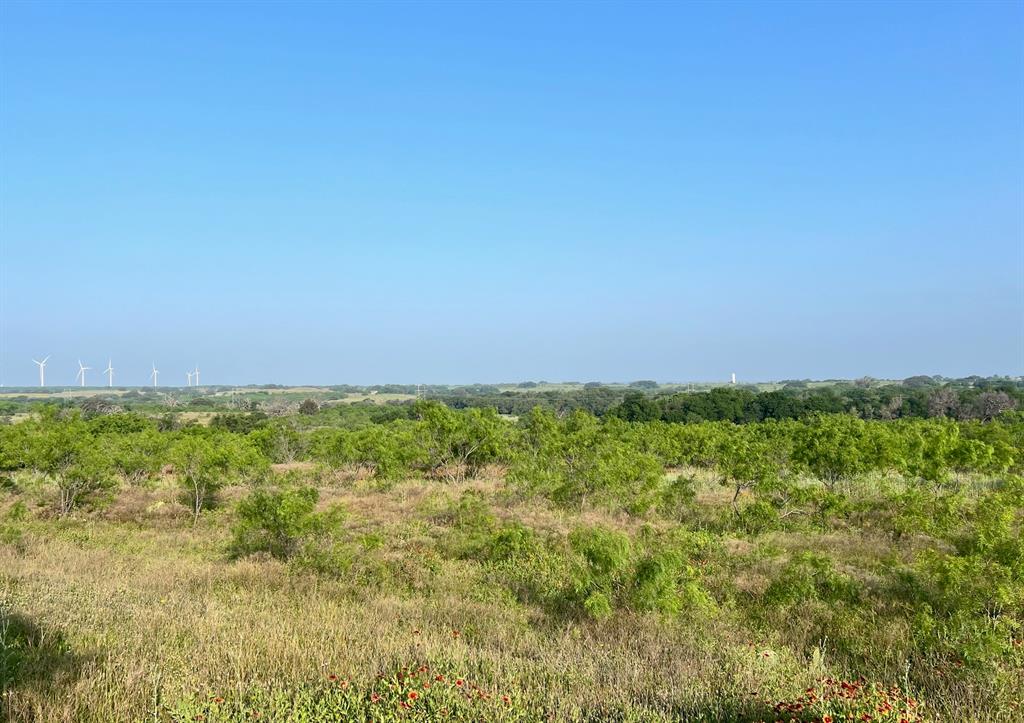 0 South S Highway Comanche, TX 76442 - Photo 5 of 14