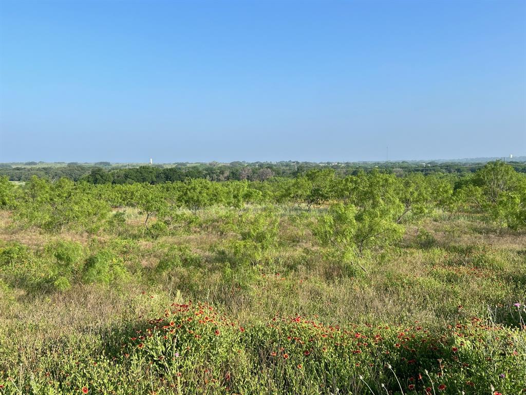 0 South S Highway Comanche, TX 76442 - Photo 6 of 14
