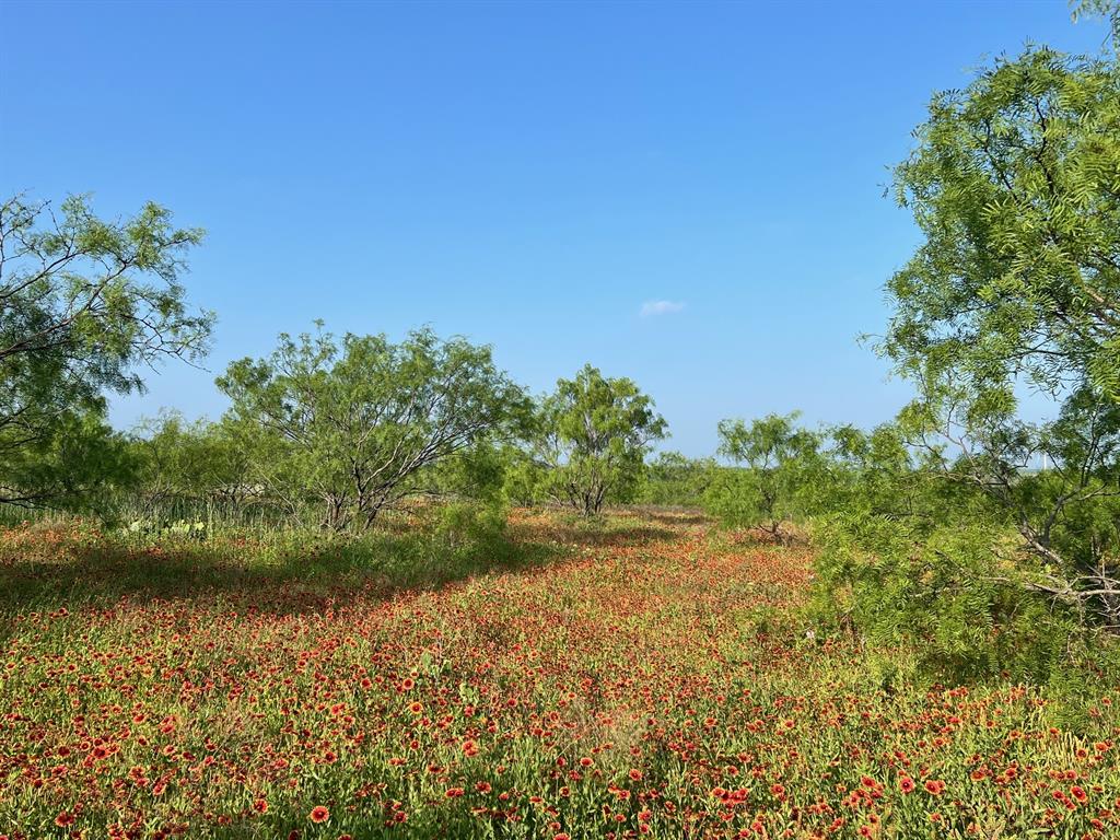 0 South S Highway Comanche, TX 76442 - Photo 7 of 14