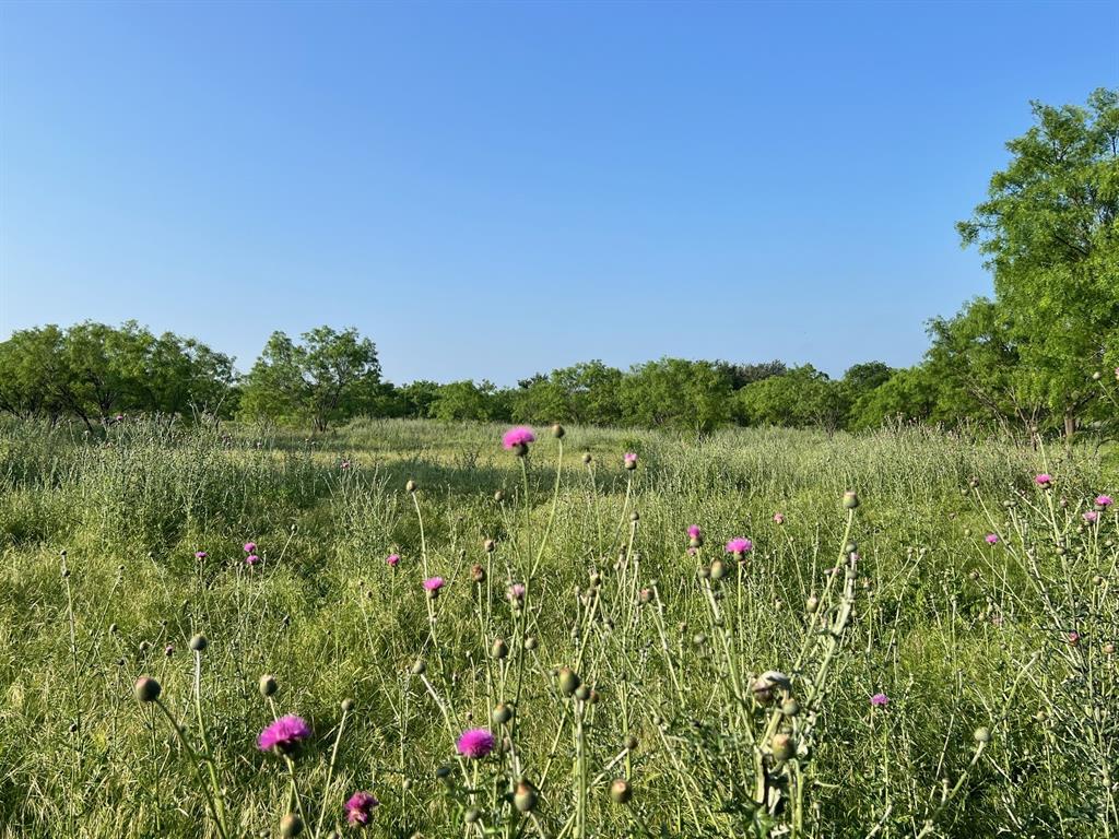 0 South S Highway Comanche, TX 76442 - Photo 8 of 14