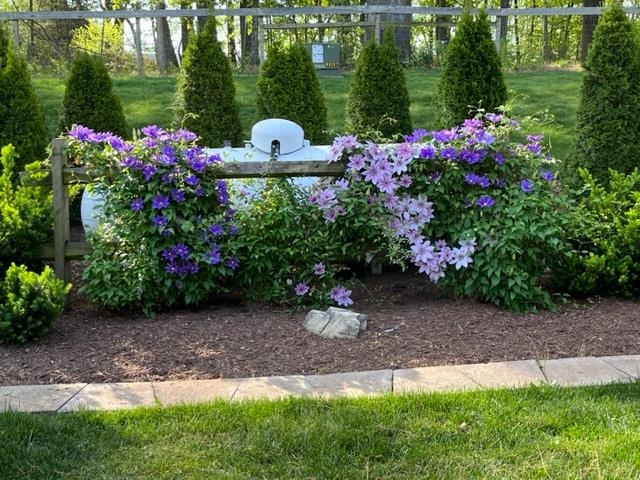 245 Lime Kiln Road Churchville, VA 24421 - Photo 48 of 75 Gallery Image 48