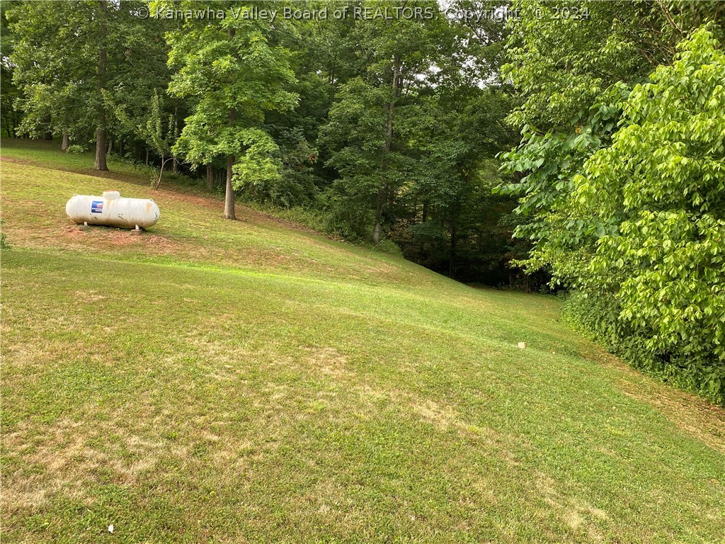 1279 Grace Road Reedy, WV 25270 - Photo 25 of 43 Yard