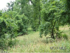 0 C Road Harrisville, WV 26362 - Photo 2 of 7