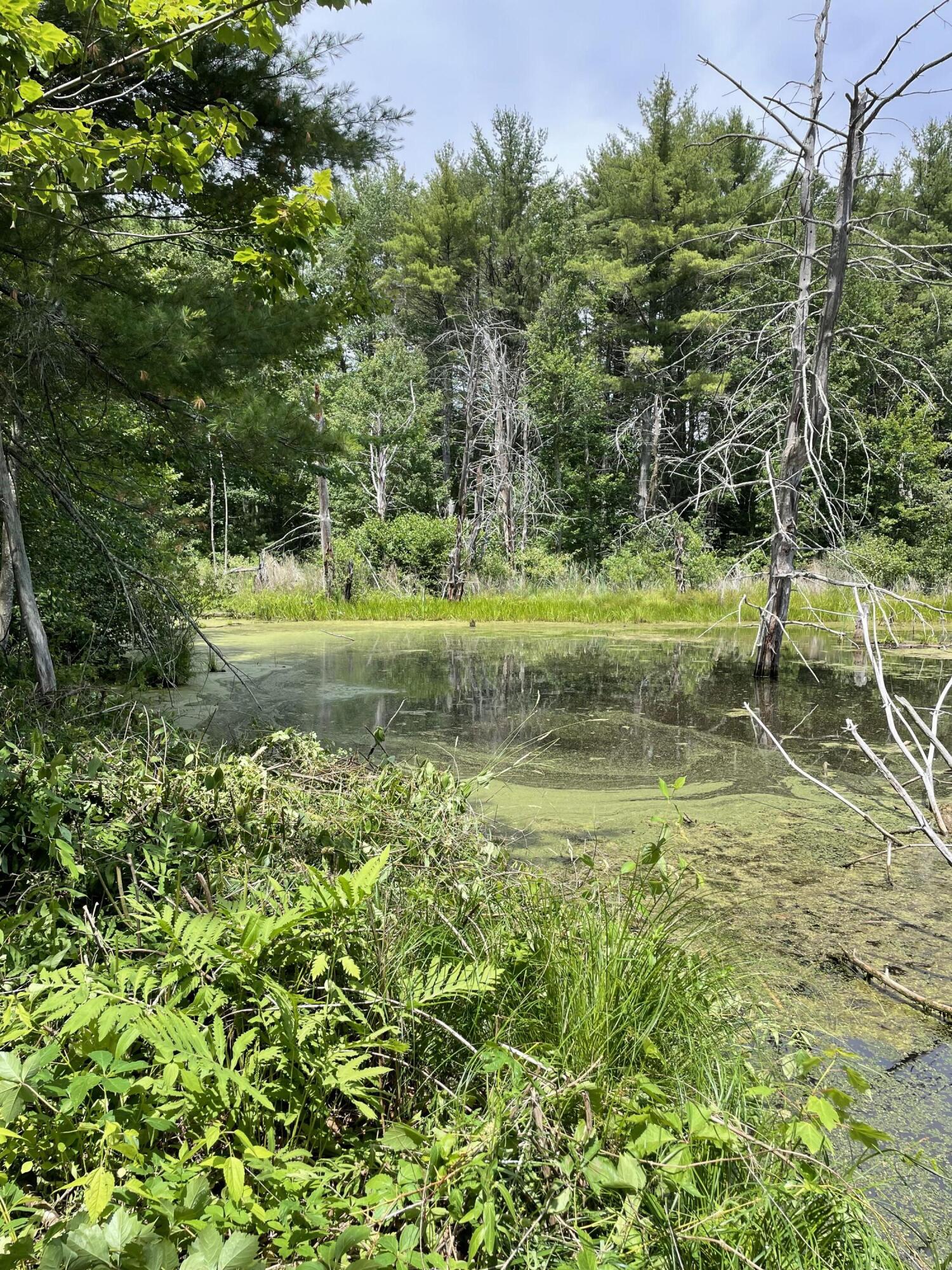 49 Oldfields Road South Berwick, ME 03908 - Photo 57 of 59 109