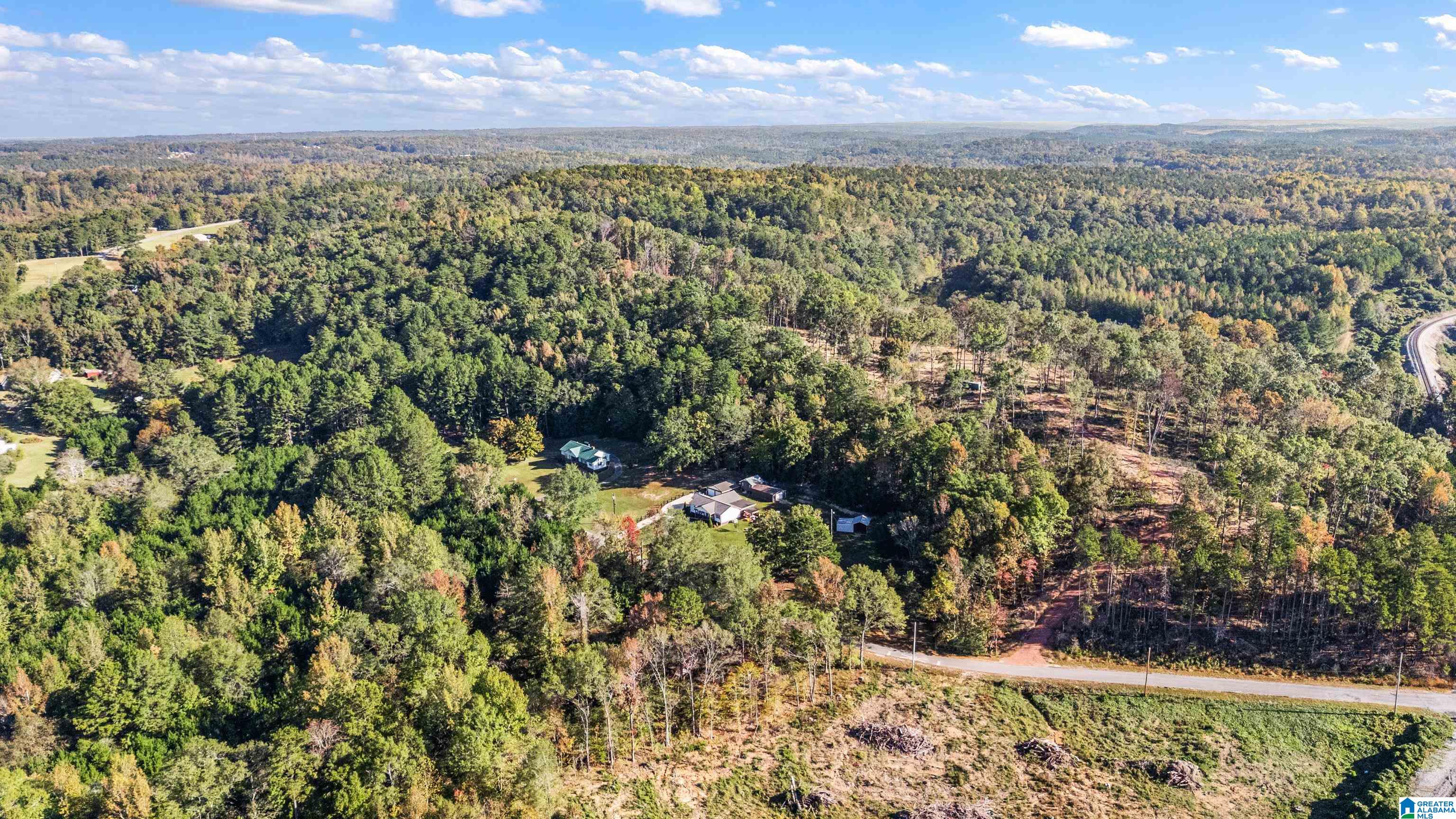 6403 Bibby Brick Yard Road Dora, AL 35062 - Photo 44 of 45