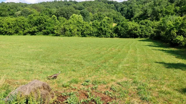 $360,000 | 350 North V F W Road, Bulls Gap, TN 37711