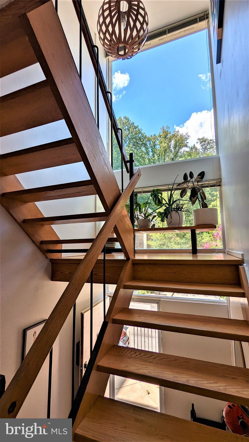 11531 Hickory Cluster Reston, VA 20190 - Photo 23 of 60