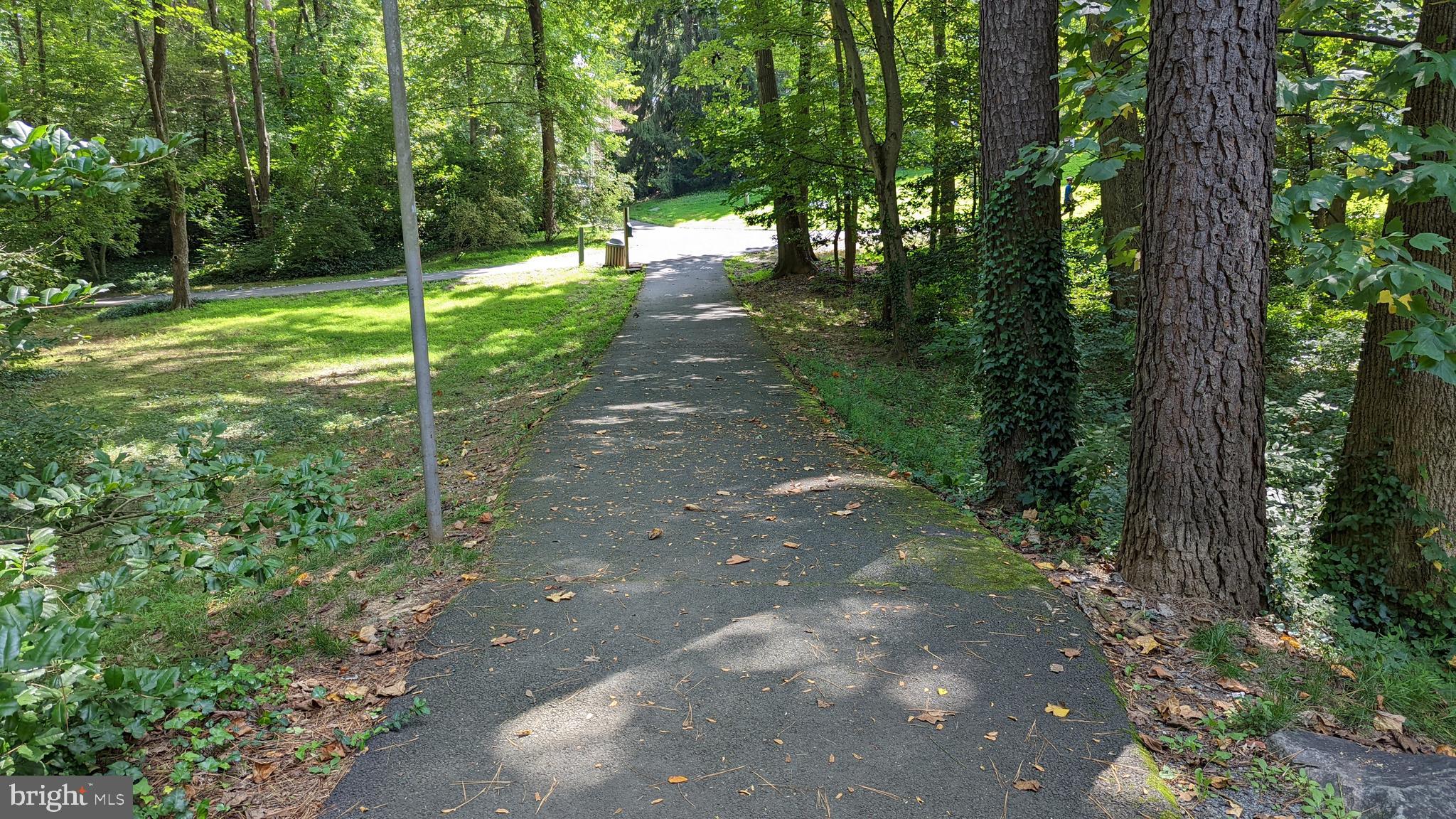 11531 Hickory Cluster Reston, VA 20190 - Photo 45 of 60