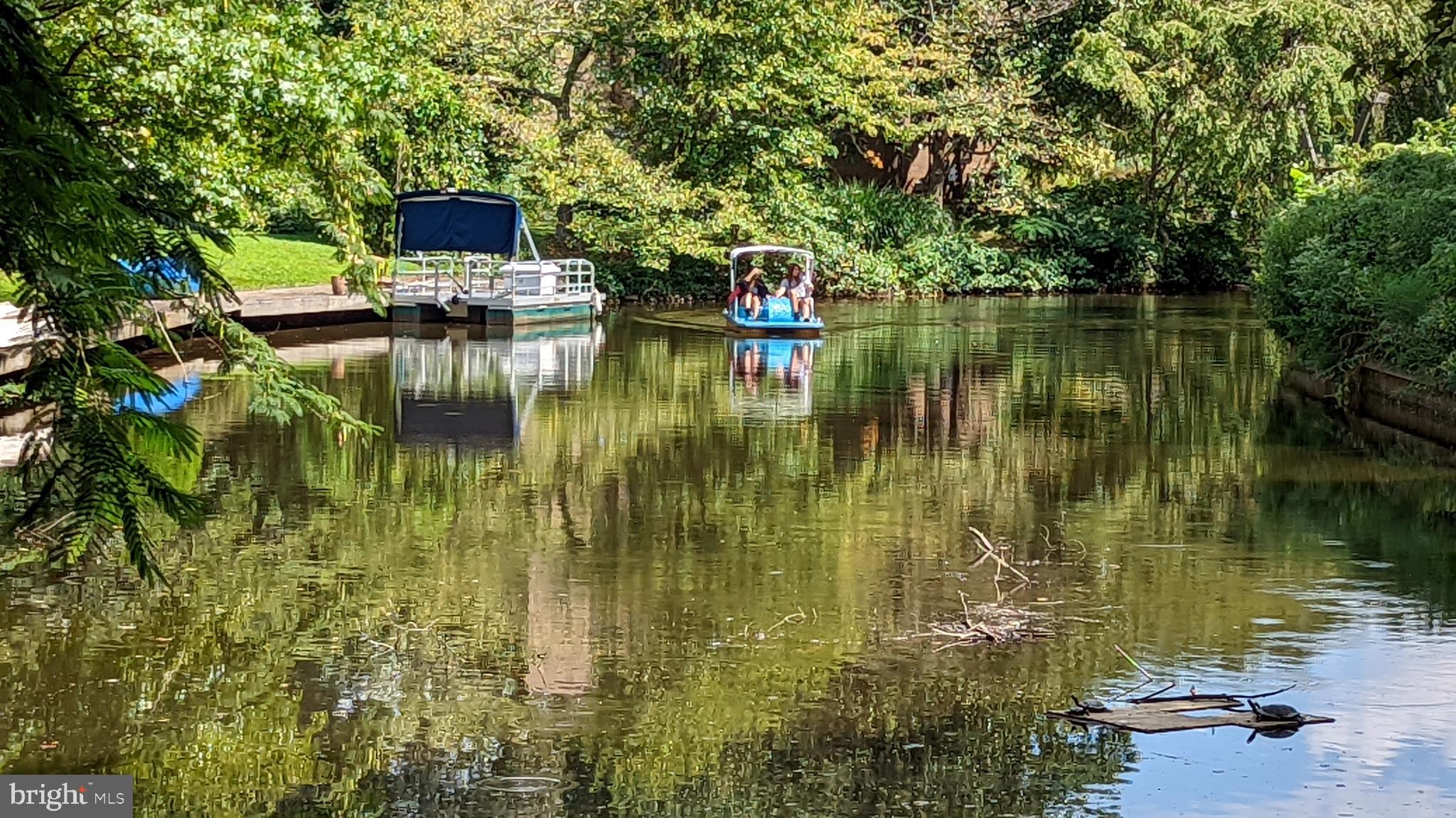 11531 Hickory Cluster Reston, VA 20190 - Photo 47 of 60