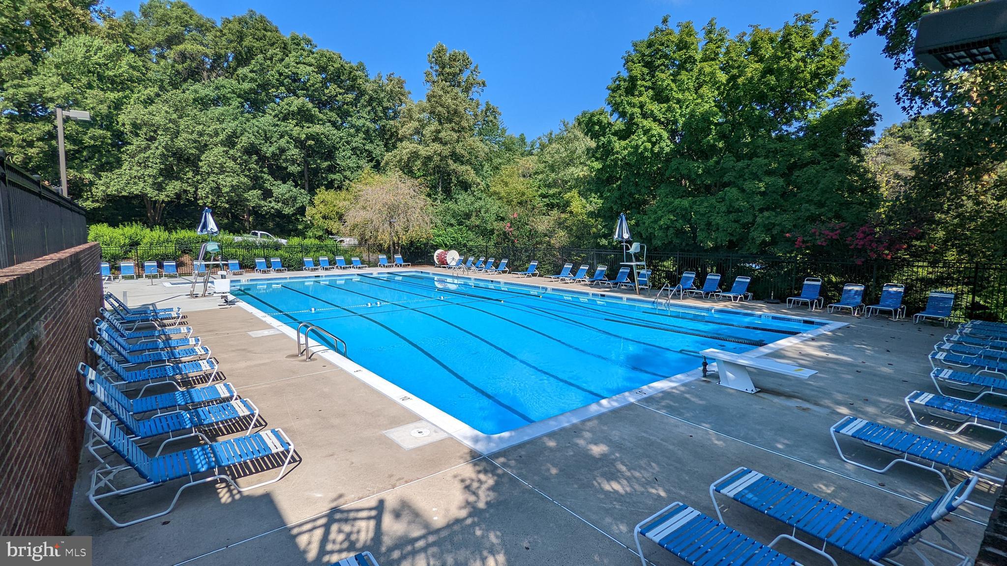 11531 Hickory Cluster Reston, VA 20190 - Photo 48 of 60