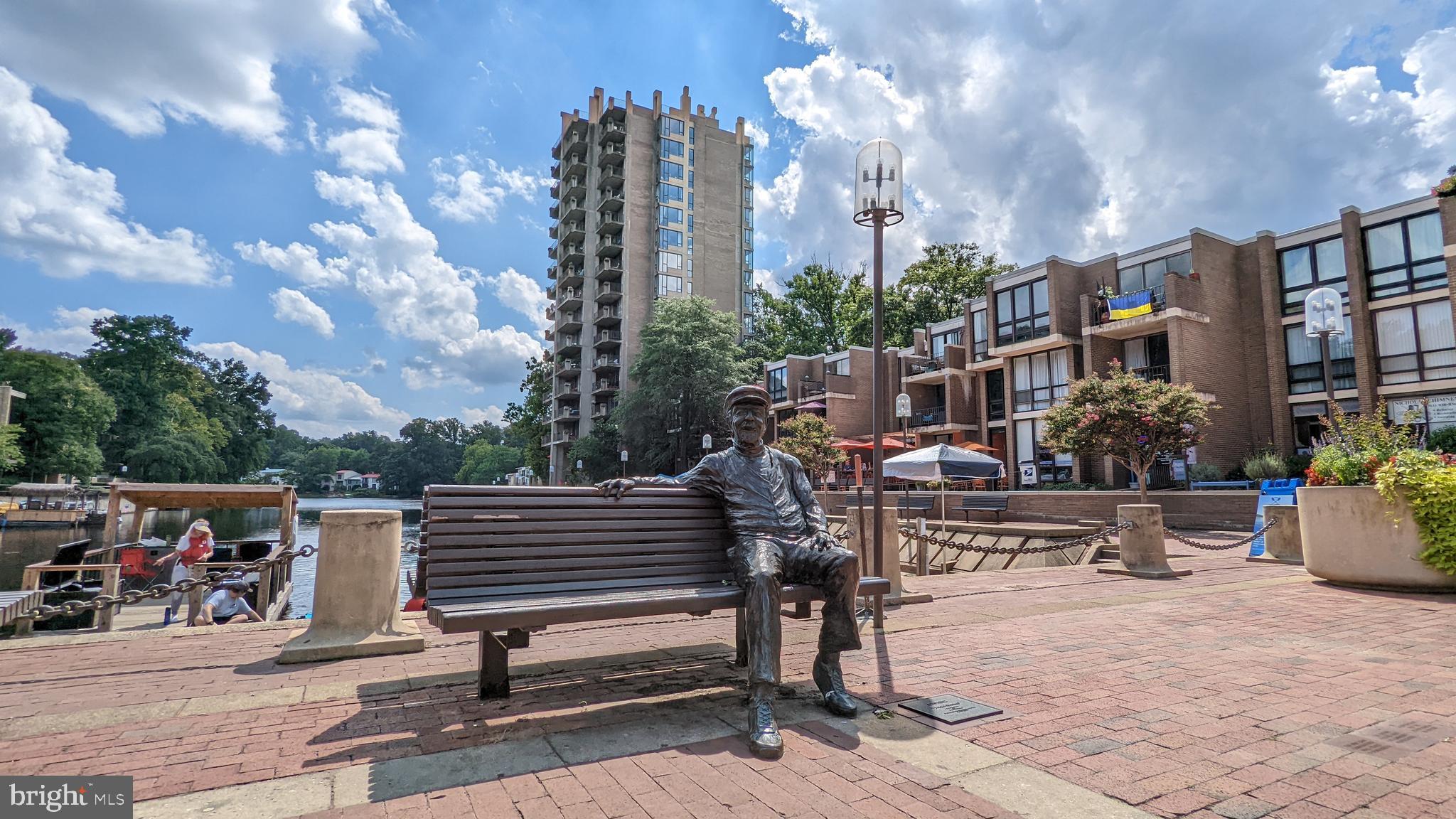 11531 Hickory Cluster Reston, VA 20190 - Photo 53 of 60