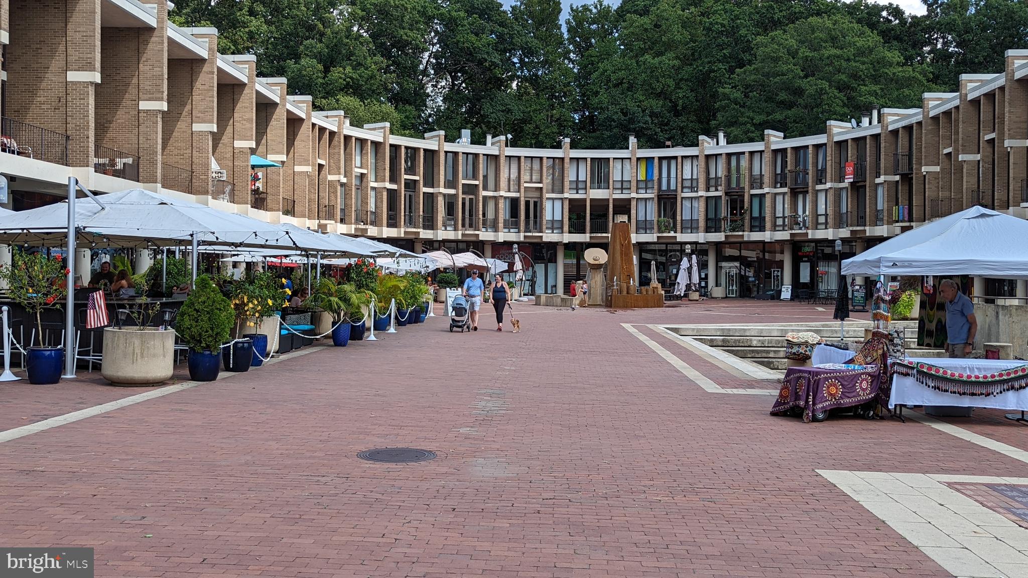 11531 Hickory Cluster Reston, VA 20190 - Photo 54 of 60