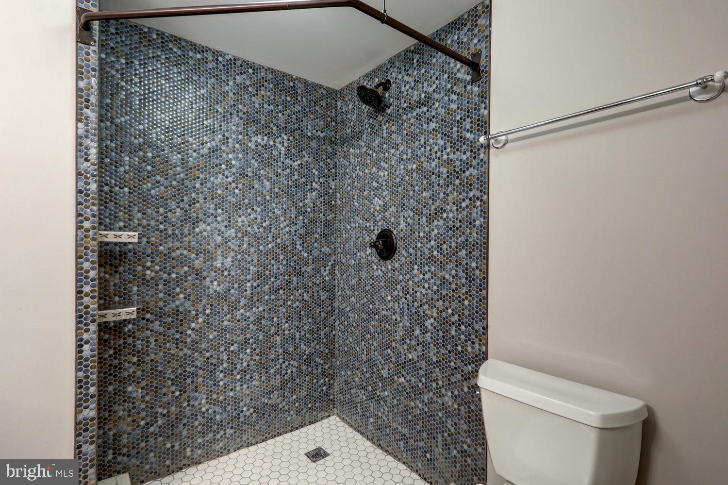 40 West Risser Mill Road Mount Joy, PA 17552 - Photo 63 of 95 Tiled shower and floors