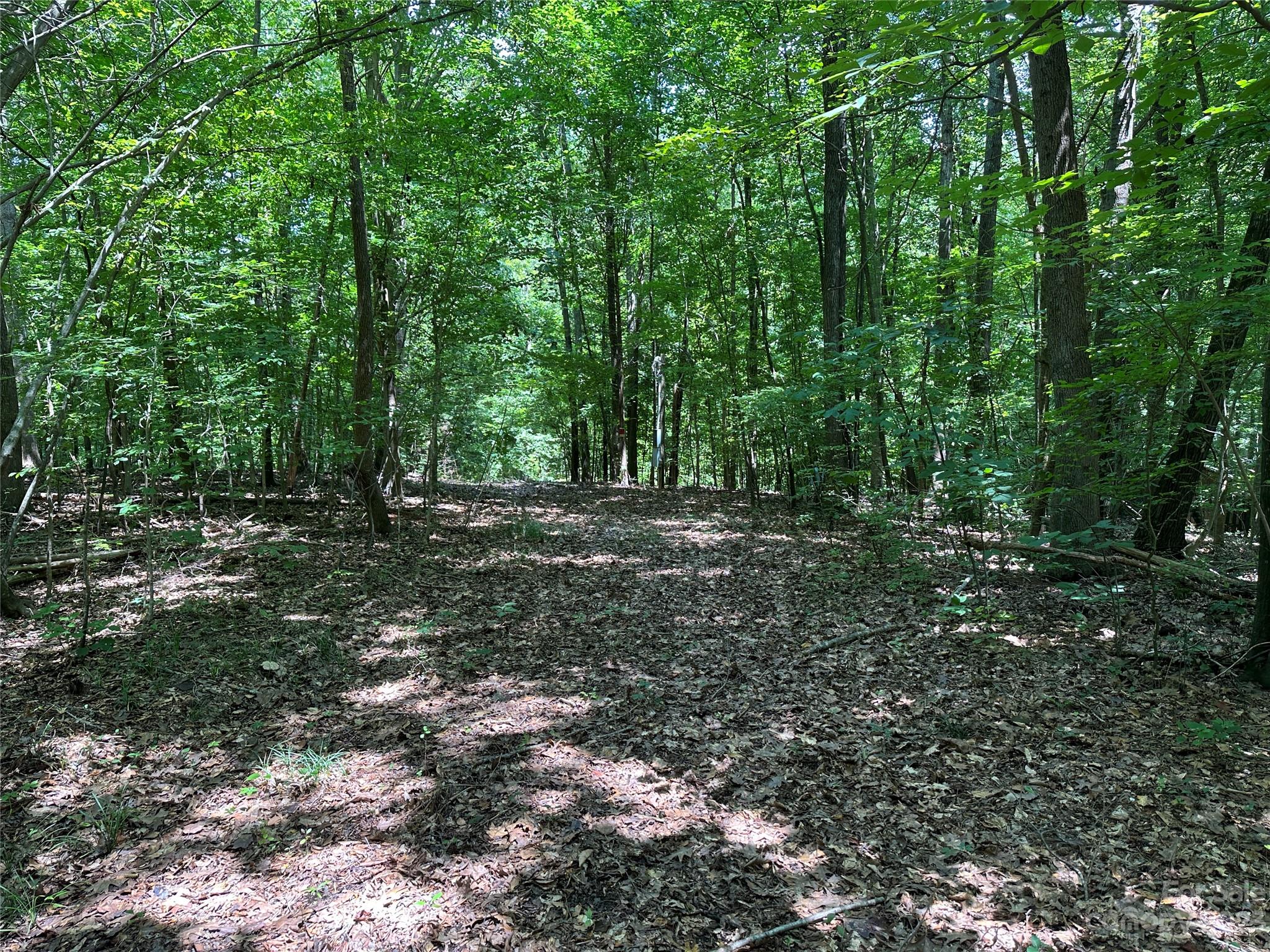 3284 Farmcrest Court Fort Mill, SC 29708 - Photo 11 of 14 a view of outdoor space with lots of trees
