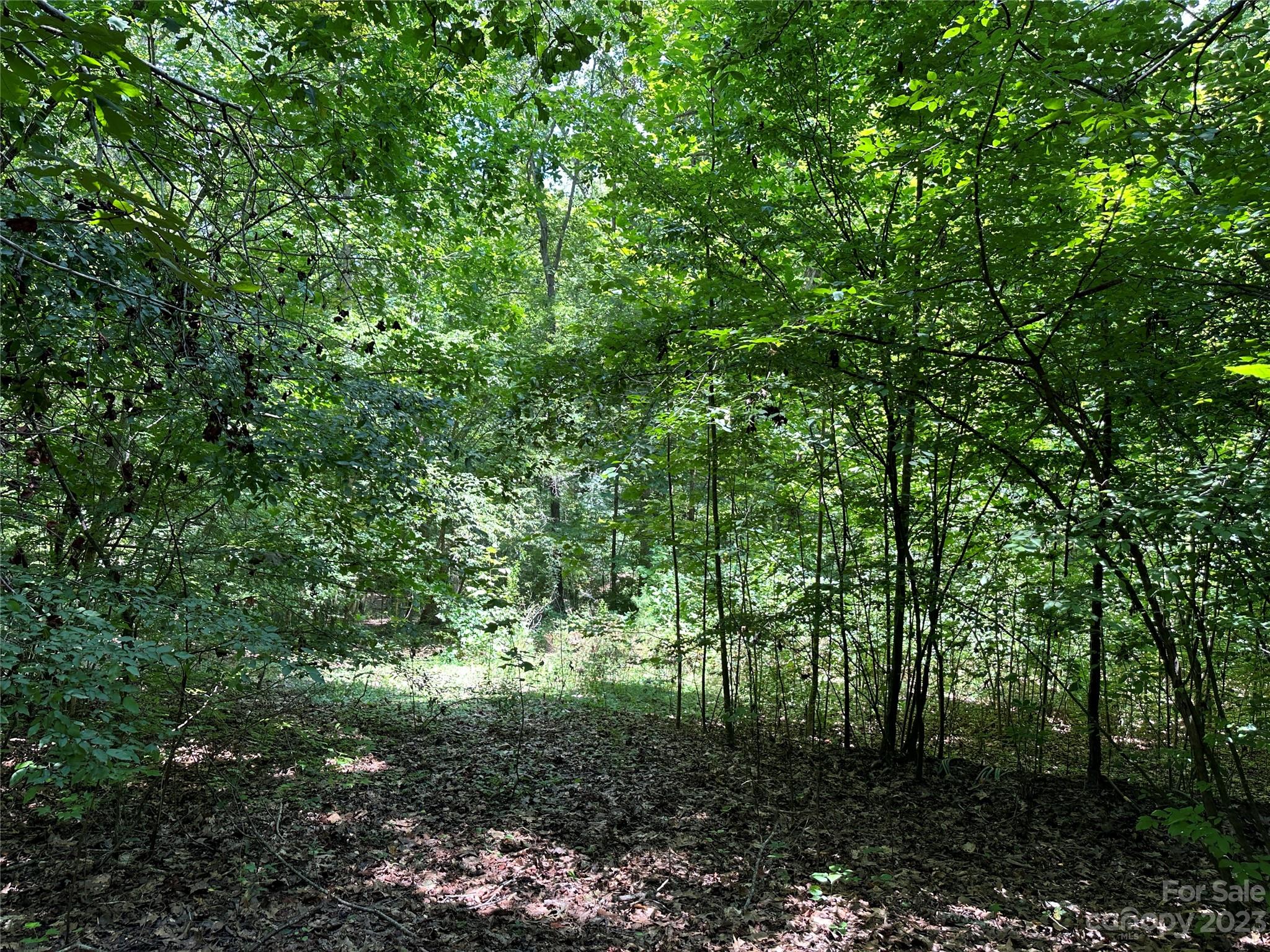 3284 Farmcrest Court Fort Mill, SC 29708 - Photo 4 of 14 a view of a lush green forest
