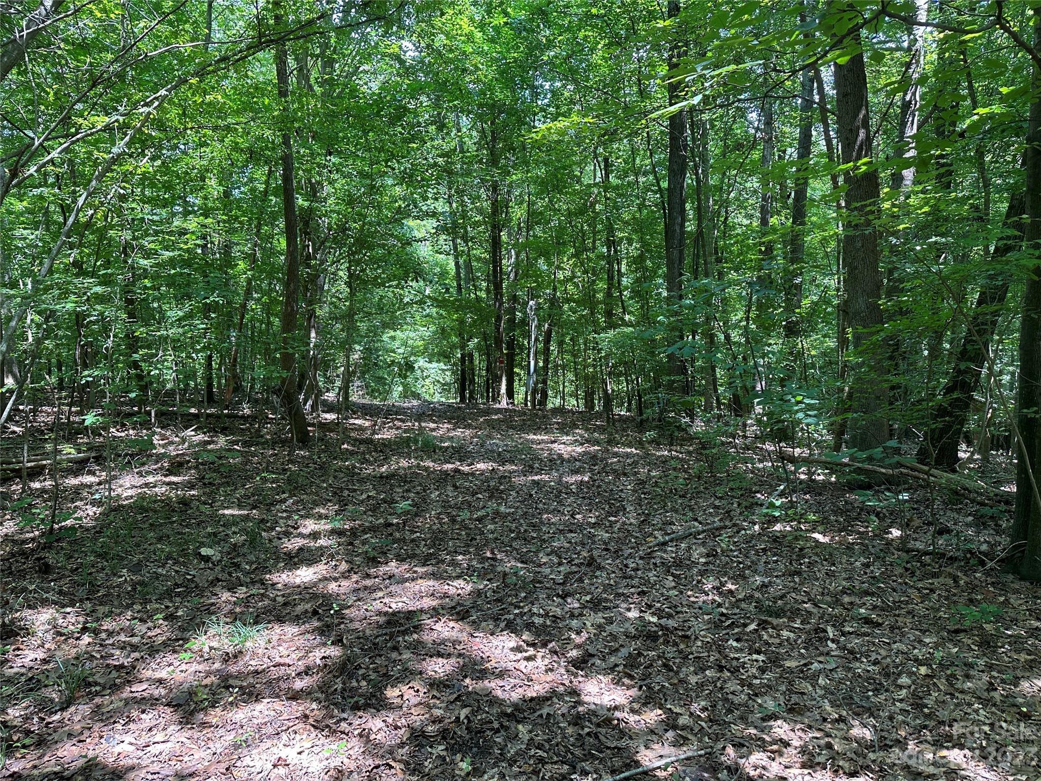 3284 Farmcrest Court Fort Mill, SC 29708 - Photo 7 of 14 a view of outdoor space and yard