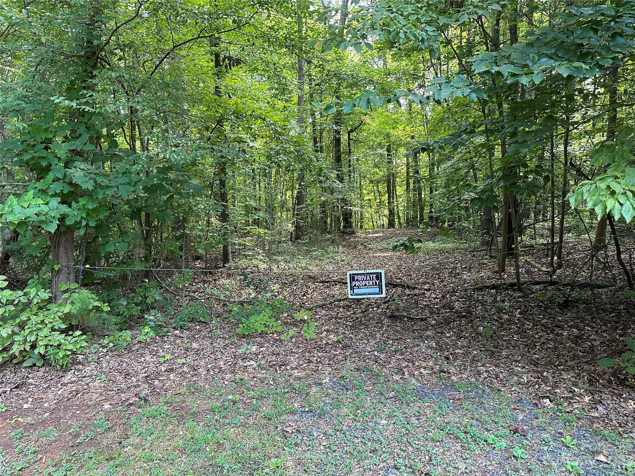 3284 Farmcrest Court Fort Mill, SC 29708 - Photo 9 of 14 a wooden bench sitting in the middle of a forest