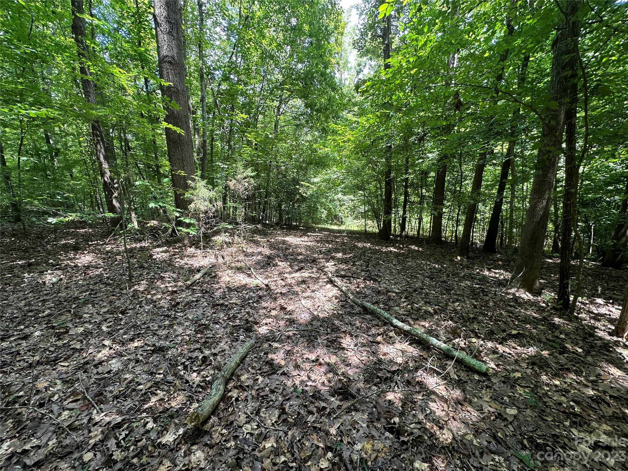 3284 Farmcrest Court Fort Mill, SC 29708 - Photo 10 of 14 a view of a forest with trees in the background