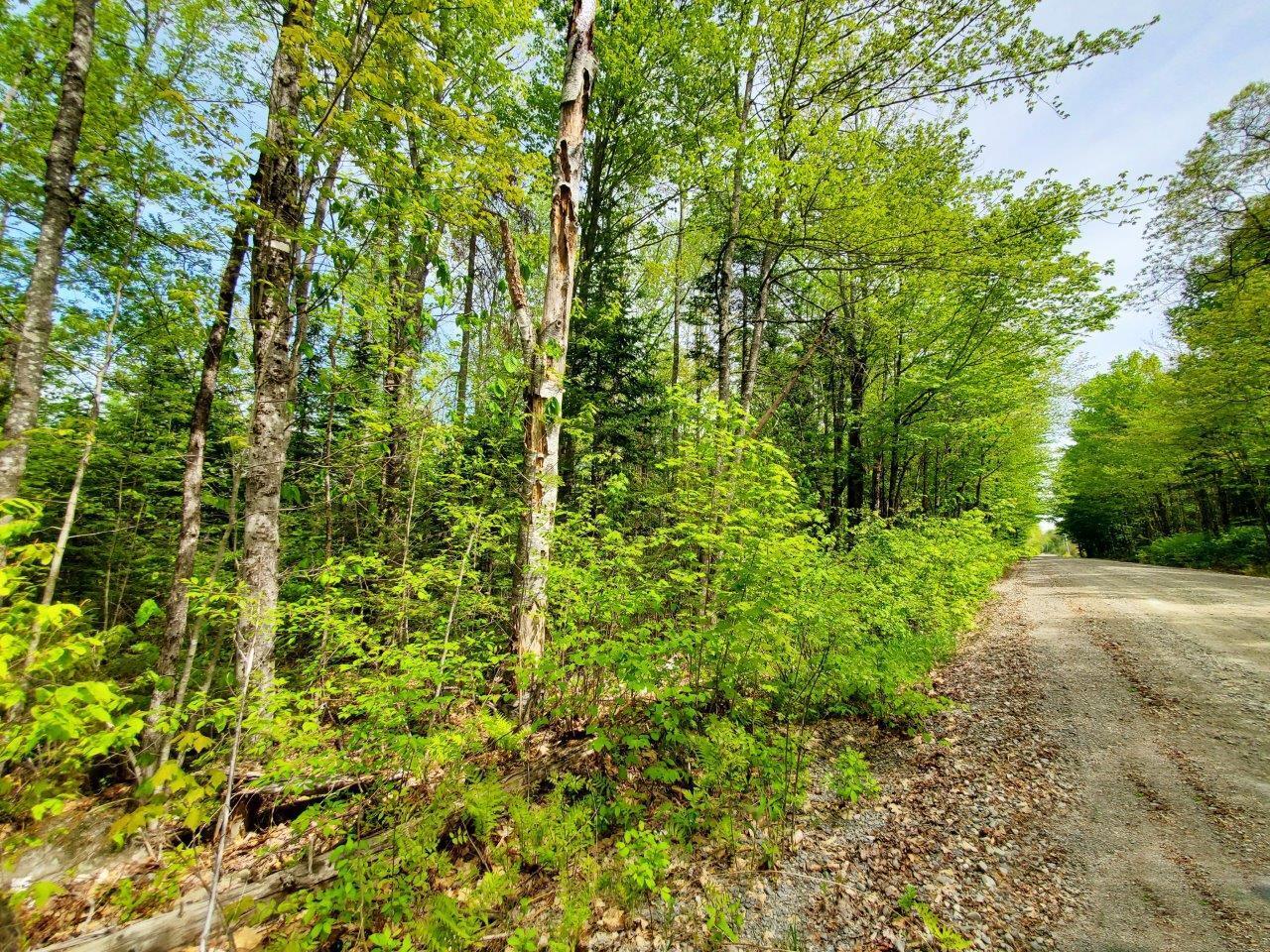 Lot 3 Maple Road Milo, ME 04463 - Photo 20 of 22 20260523_141139 adj