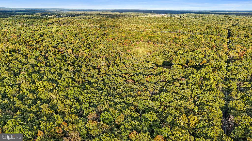 0 Old Plank Road Locust Grove, VA 22508 - Photo 11 of 31 Gallery Image 11