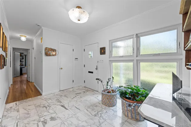 a view of a living room and a potted plant