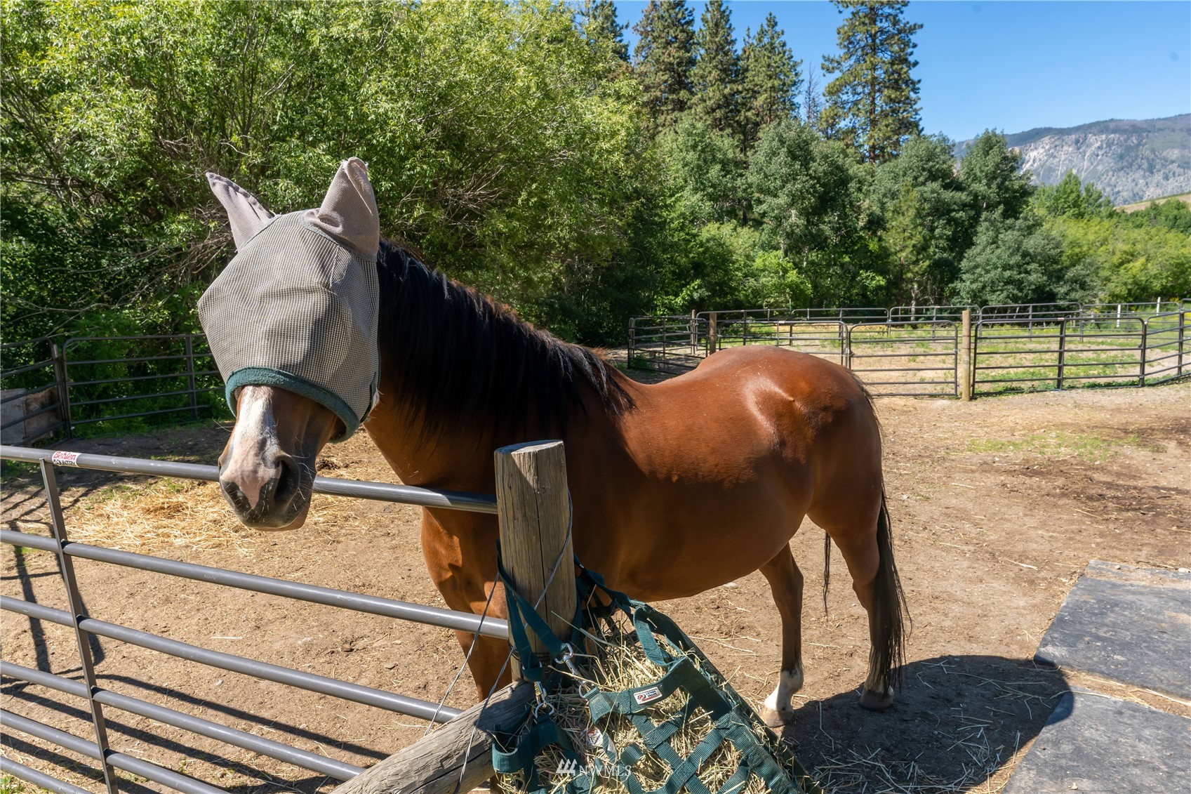 450 Canyon Ranch Road Manson, WA 98831 - Photo 34 of 40 Gallery Image 34