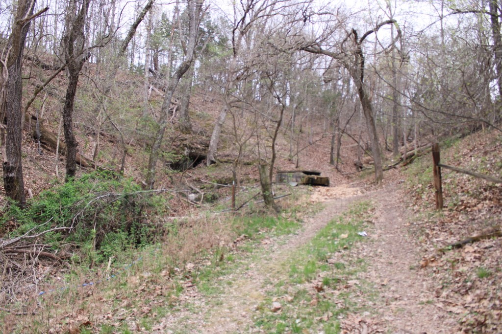 416 New Hope Road Marshall, AR 72650 - Photo 31 of 60 spring area