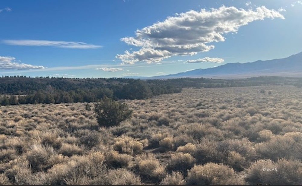 2 Track Wells Wells, NV 89835 - Photo 12 of 12