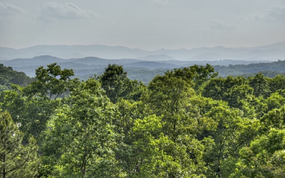 544 Endless View Road Mineral Bluff, GA 30559 - Photo 3 of 4 Additional View