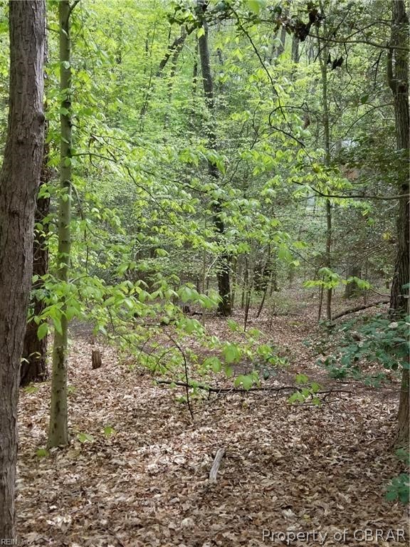 1.61-ac Old Stage Road Toano, VA 23168 - Photo 2 of 4