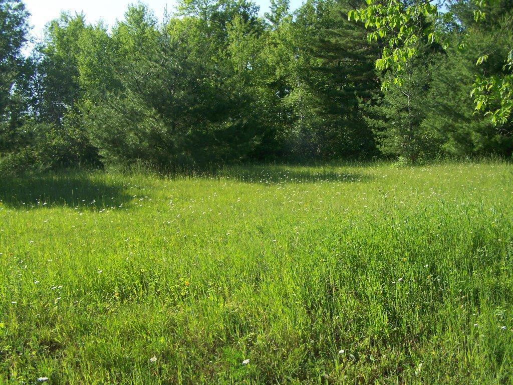 8545 Long Rapids Road Alpena, MI 49707 - Photo 12 of 27 Gallery Image 12