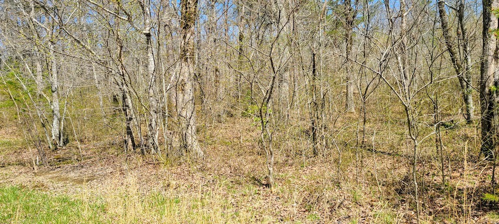0 Pigeon Spur Road Tracy City, TN 37387 - Photo 8 of 27 Gallery Image 8