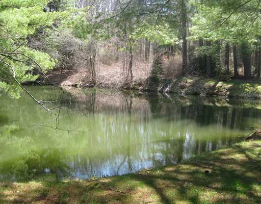 203 Weeks Road Slippery Rock, PA 16057 - Photo 12 of 13 1st Floor Plan. The Pond.