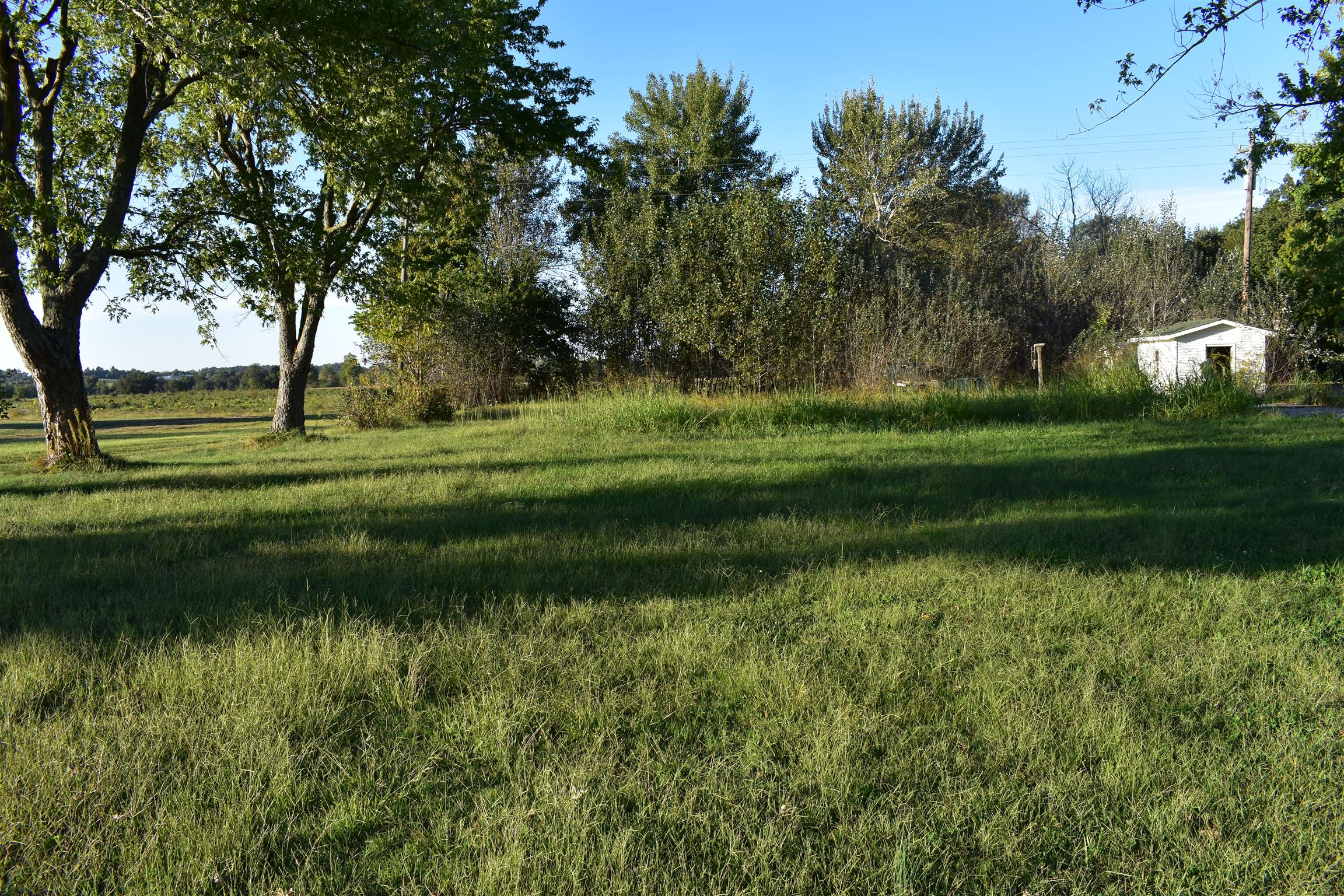 898 Crofton Dawson Road Crofton, KY 42217 - Photo 3 of 4 Gallery Image 3