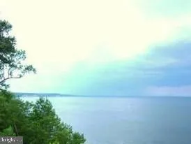 a view of yard with ocean view